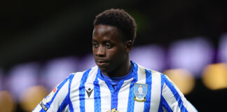 Djeidi Gassama wearing Sheffield Wednesday kit during a Championship match