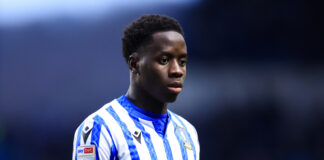 Djeidi Gassama in action for Sheffield Wednesday during a Sky Bet Championship match, wearing the team's blue and white striped home kit with sponsor and EFL Championship patches visible.