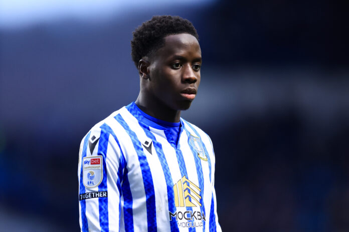 Djeidi Gassama in action for Sheffield Wednesday during a Sky Bet Championship match, wearing the team's blue and white striped home kit with sponsor and EFL Championship patches visible.